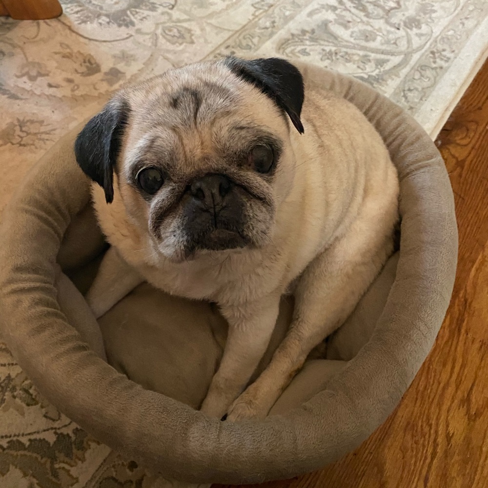 Meet your Posher, Robyn